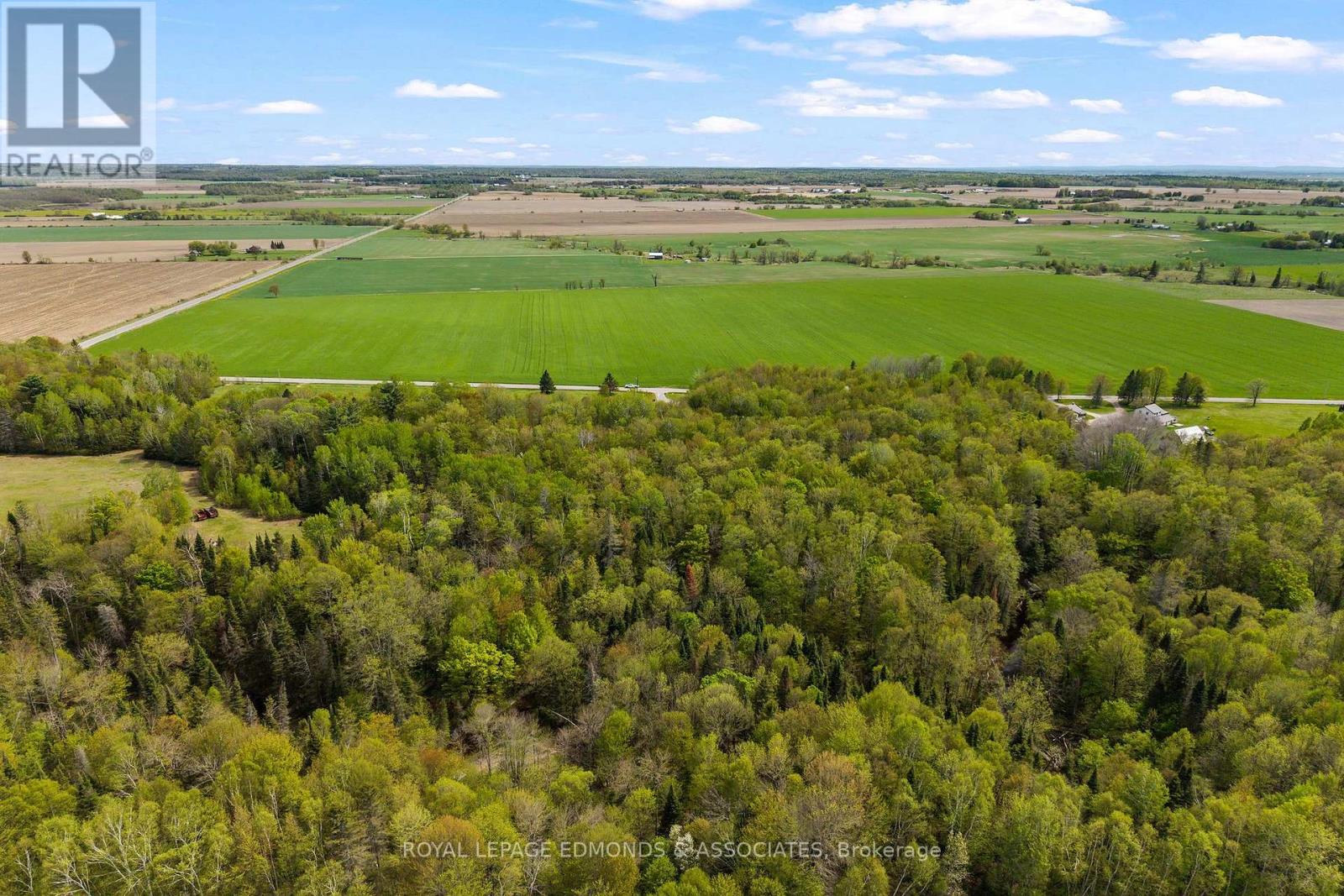 346 Hila Road, Whitewater Region, Ontario  K8A 6W3 - Photo 44 - X13156122