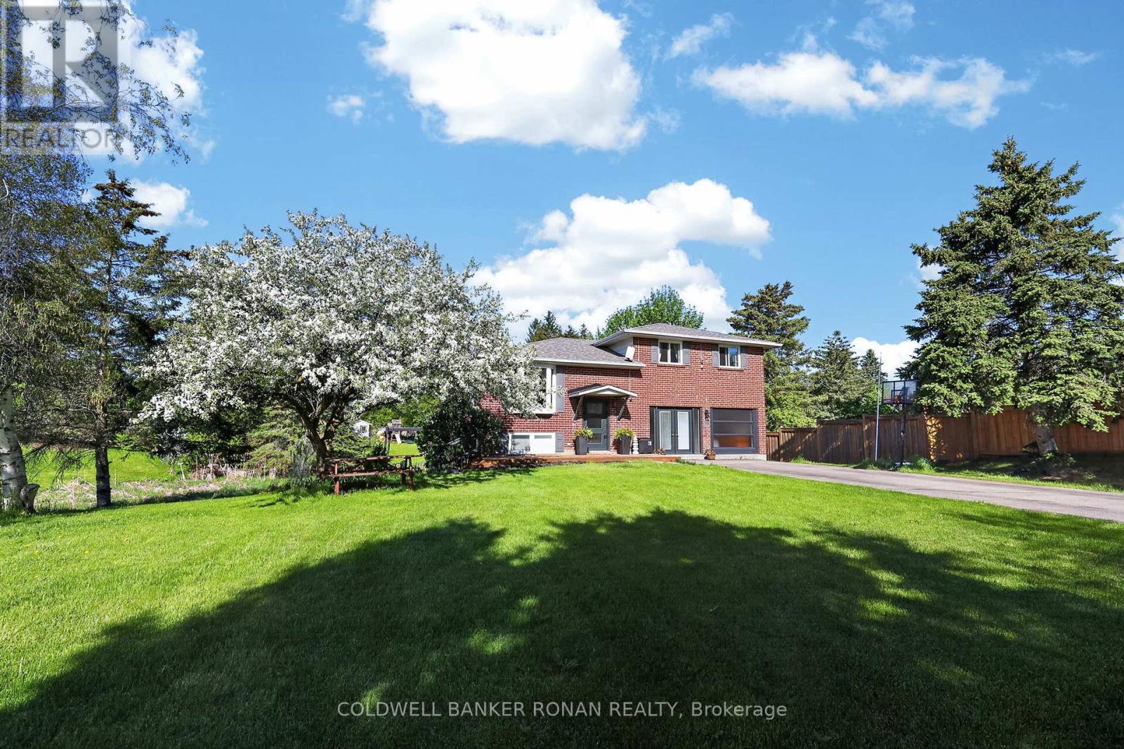 10 CATHERINE STREET, Adjala-Tosorontio, Ontario