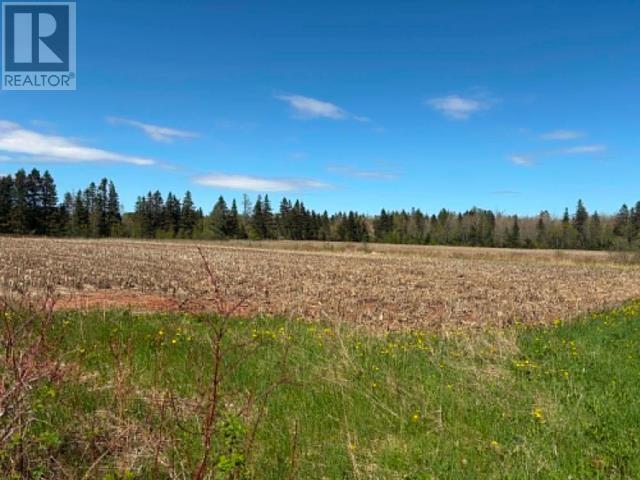 37196 Western Road, 37196 Rte 2, Carleton, Prince Edward Island C0B 1H0 - Photo 4 - 202611615