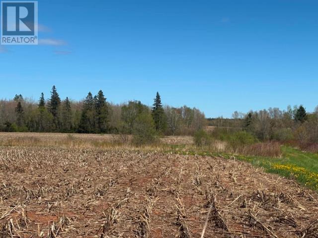 37196 Western Road, 37196 Rte 2, Carleton, Prince Edward Island C0B 1H0 - Photo 5 - 202611615