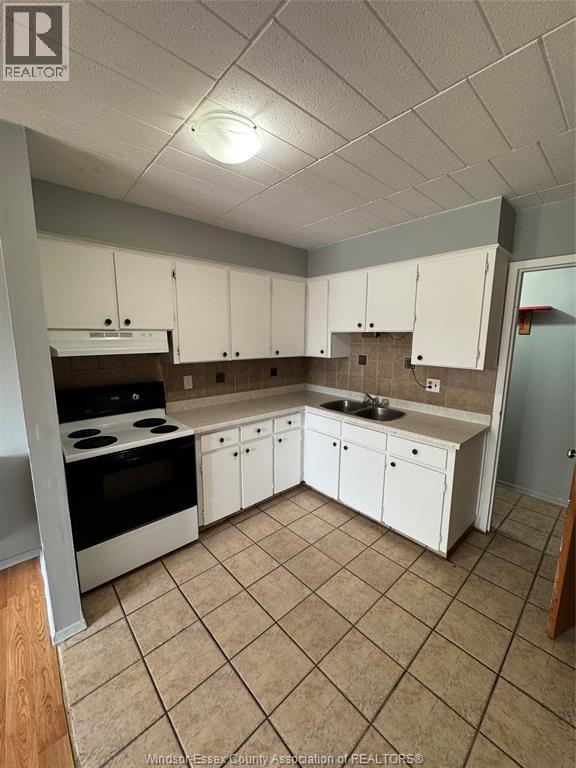 536 Aylmer Avenue Unit# 201, Windsor, Ontario  N9A 1T8 - Photo 7 - 26011766