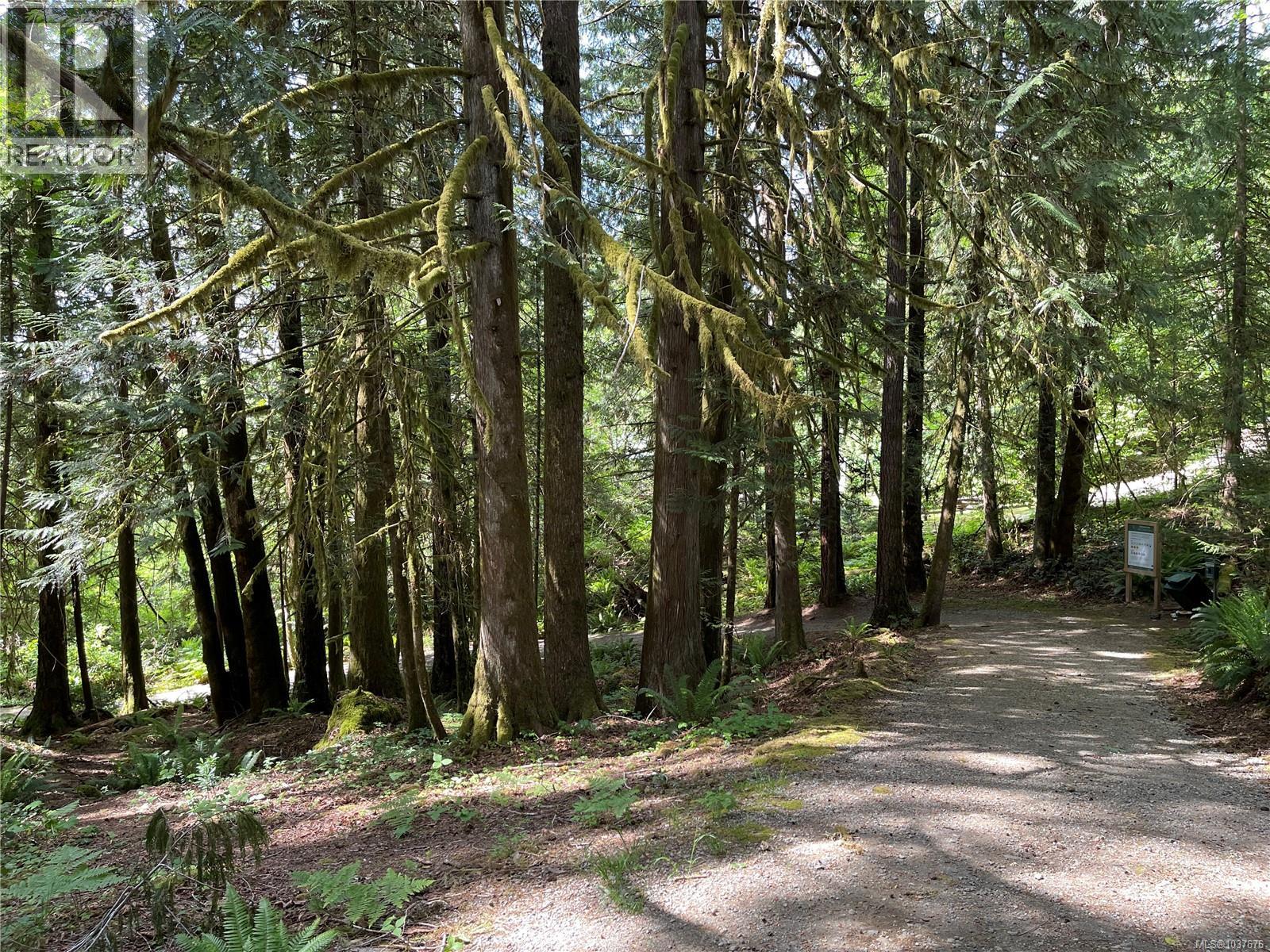 Lot 7 Faber Rd, Port Alberni, British Columbia  V9Y 0O0 - Photo 12 - 1037676