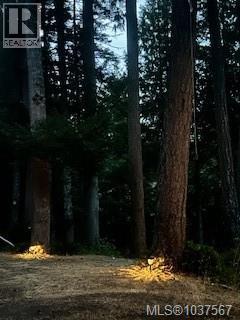 808 Rainbow Rd, Salt Spring, British Columbia  V8K 2M8 - Photo 20 - 1037567