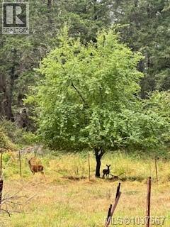 808 Rainbow Rd, Salt Spring, British Columbia  V8K 2M8 - Photo 23 - 1037567