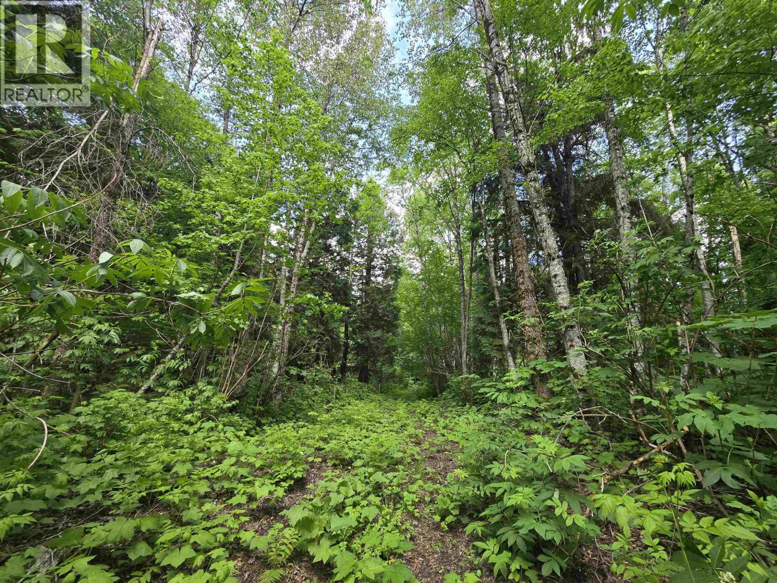 Lot 4 Schremp Island Road, Terrace, British Columbia V8G 4R6 - Photo 7 - R3126363