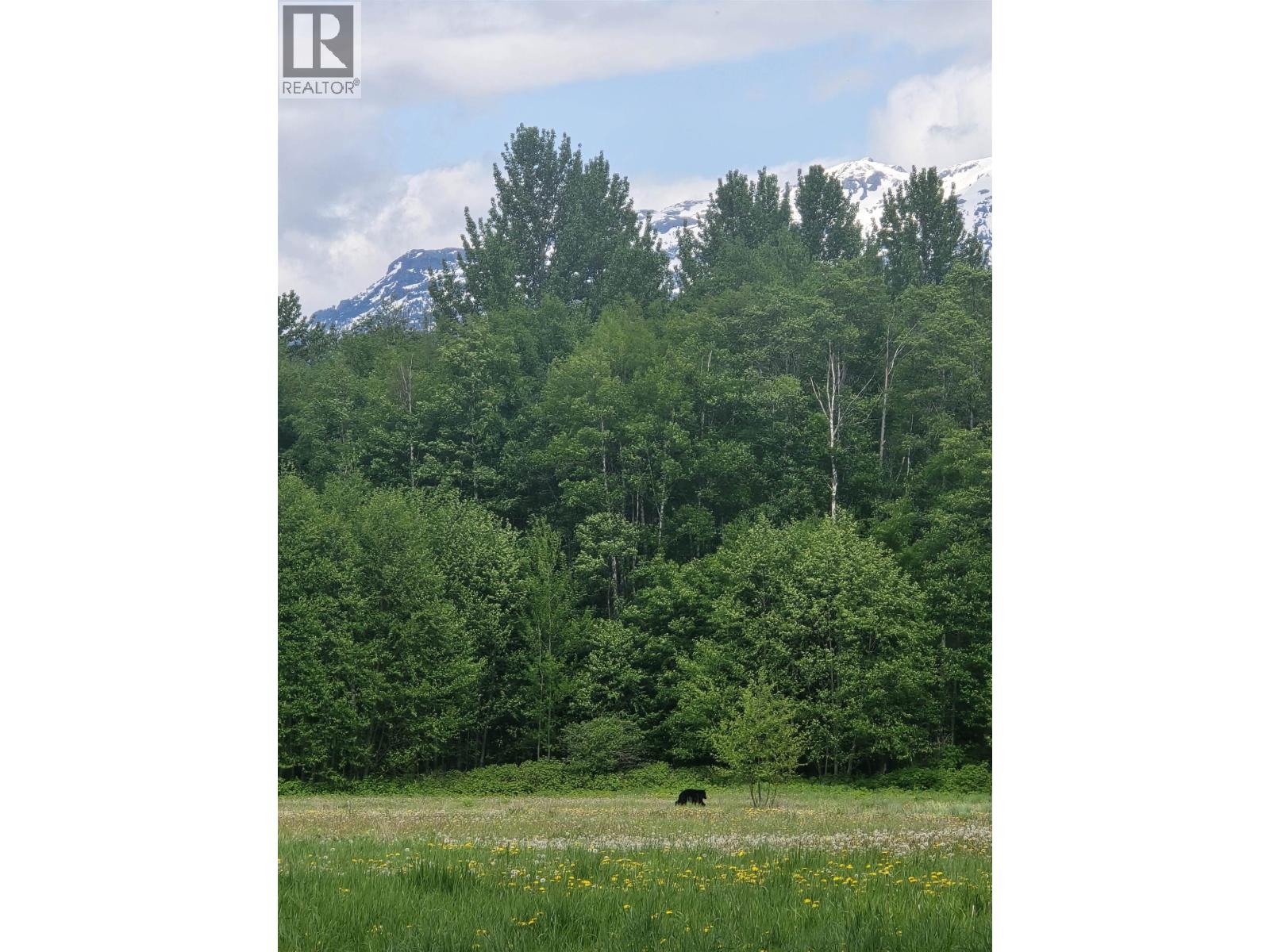 Lot 4 Schremp Island Road, Terrace, British Columbia V8G 4R6 - Photo 8 - R3126363