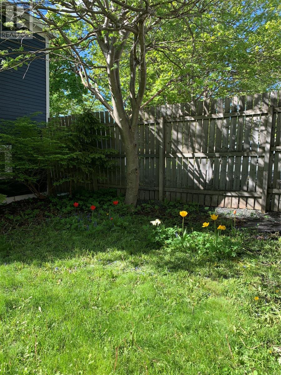 97 Quidi Vidi Road, St.john's, Newfoundland & Labrador  A1A 1C3 - Photo 42 - 1297869