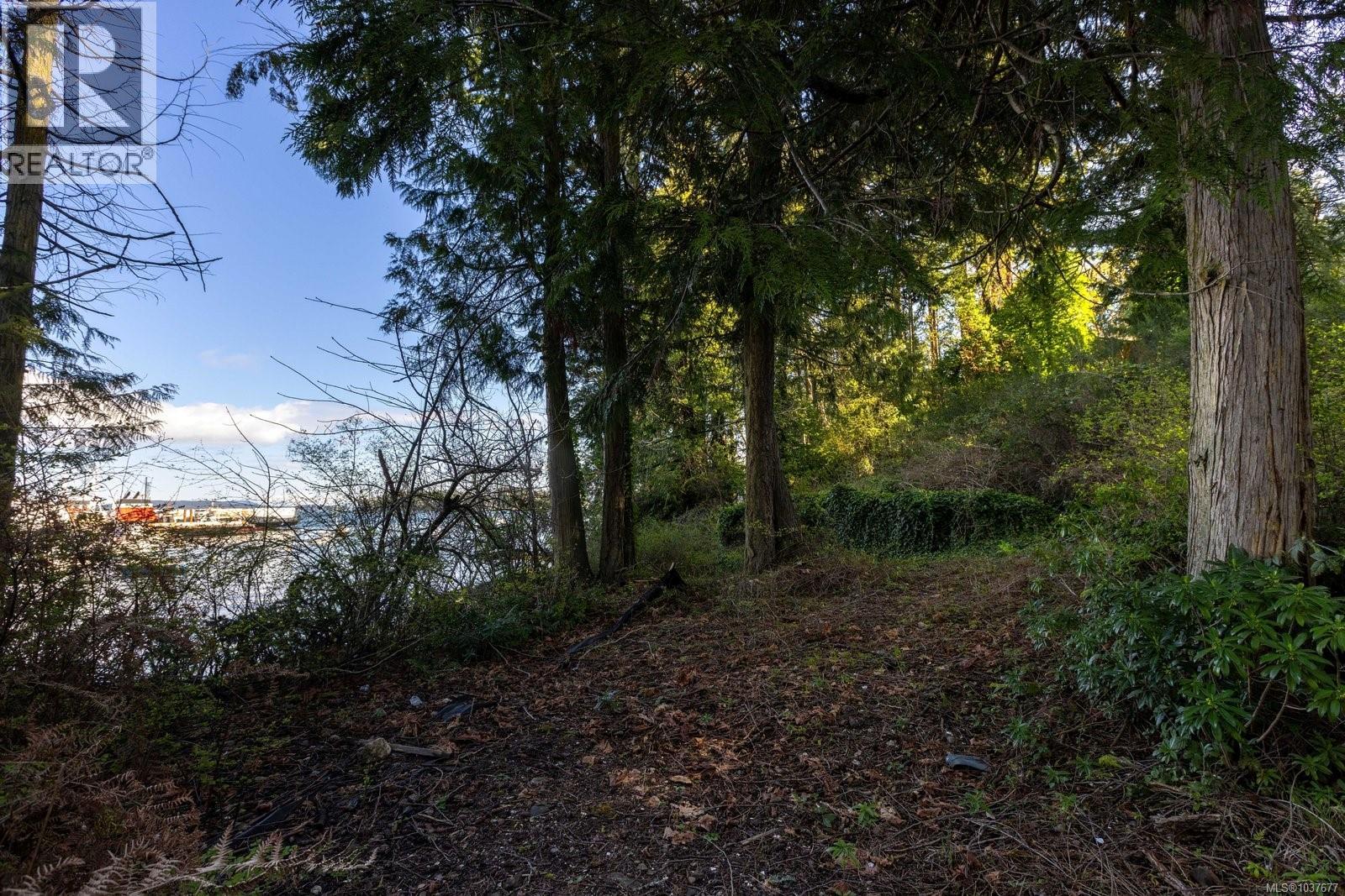 2218 Dolphin Rd, North Saanich, British Columbia V8L 5Y7 - Photo 15 - 1037677