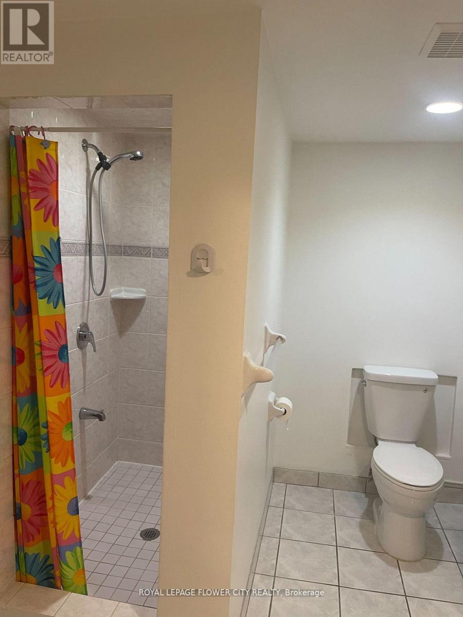 Bsmt - 3220 Lednier Terrace, Mississauga, Ontario  L4Y 3Z8 - Photo 6 - W13157244