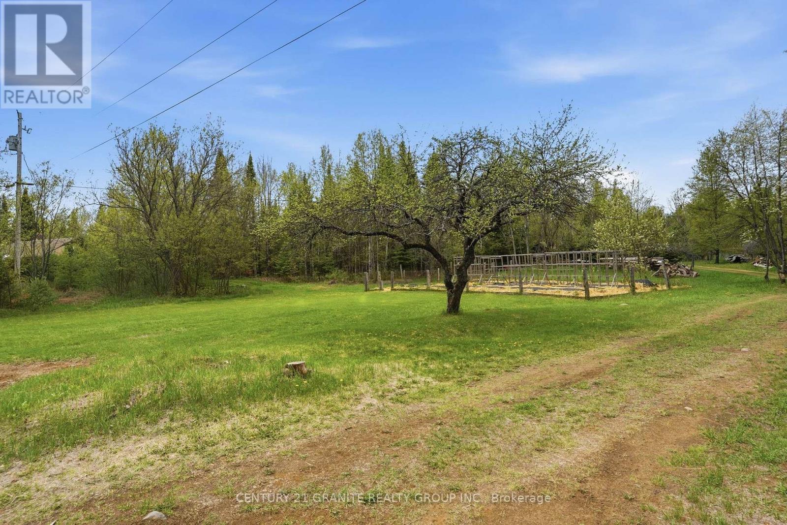 439 Rose Island Road, Wollaston, Ontario  K0L 1P0 - Photo 41 - X13150576