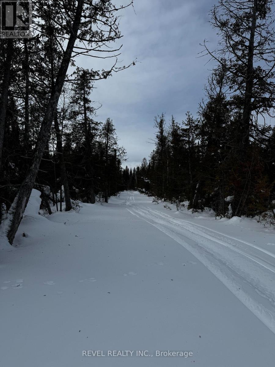 Lot 2 Con 3 Evelyn Township, Timmins, Ontario  P0N 1A0 - Photo 19 - T12818386