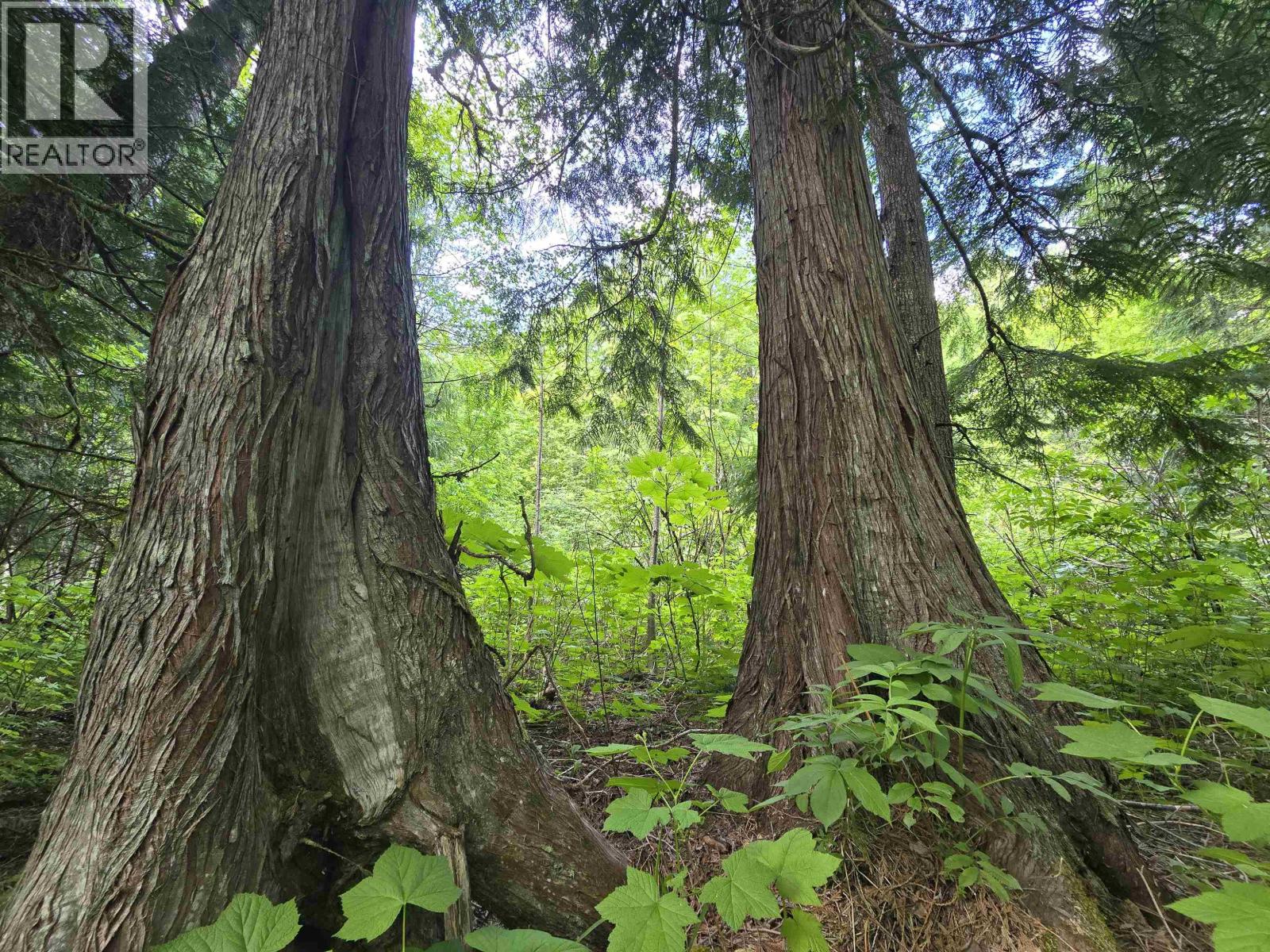 Lot 3 Schremp Island Road, Terrace, British Columbia V8G 4R6 - Photo 6 - R3126344