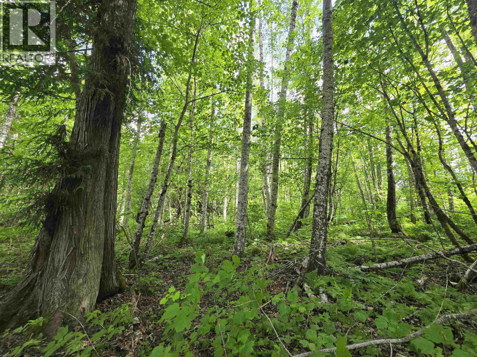 Lot 3 Schremp Island Road, Terrace, British Columbia V8G 4R6 - Photo 5 - R3126344
