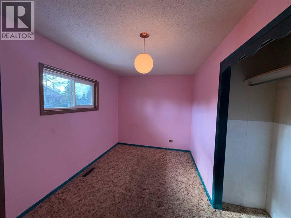 5223 49 Street, Rocky Mountain House, Alberta  T4T 1G6 - Photo 12 - A2308570
