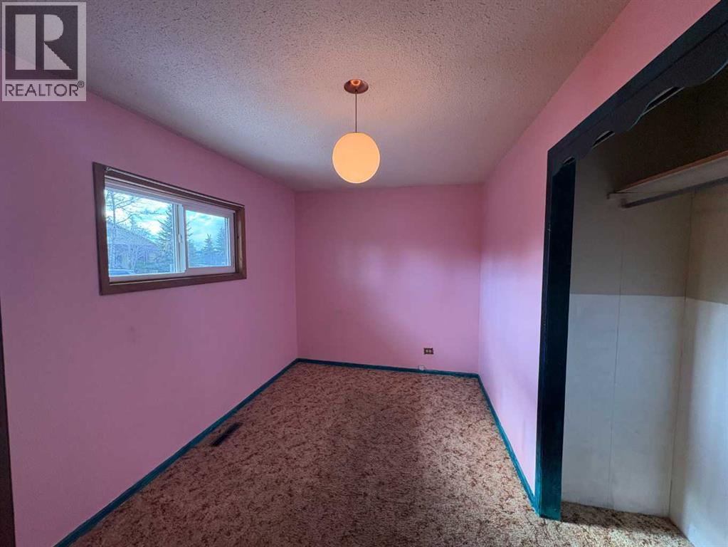 5223 49 Street, Rocky Mountain House, Alberta  T4T 1G6 - Photo 13 - A2308570