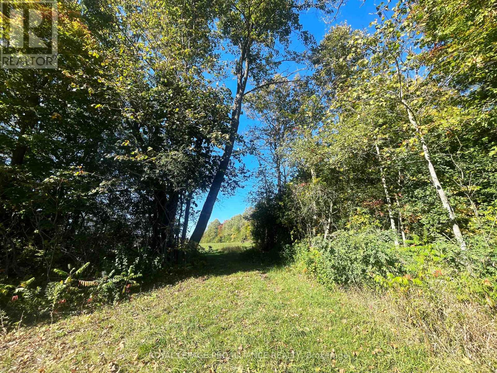 Lot C - 00 Jamieson Road N, Port Hope, Ontario L1A 3V8 - Photo 10 - X13157546