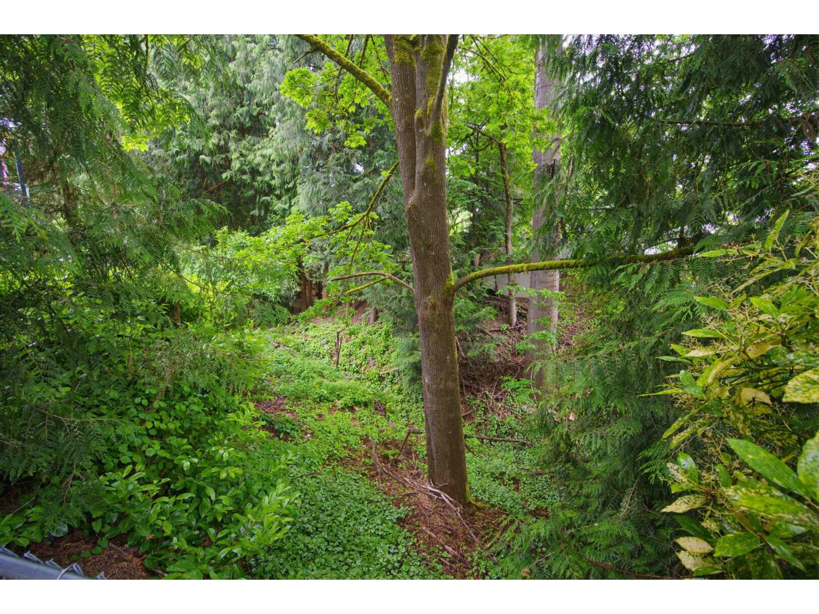 20474 43a Avenue, Langley, British Columbia V3A 3C8 - Photo 39 - R3124311