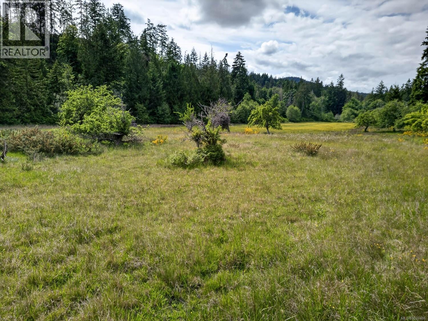 Lot 3 Beddis Rd, Salt Spring, British Columbia  V8K 2E5 - Photo 15 - 1037486
