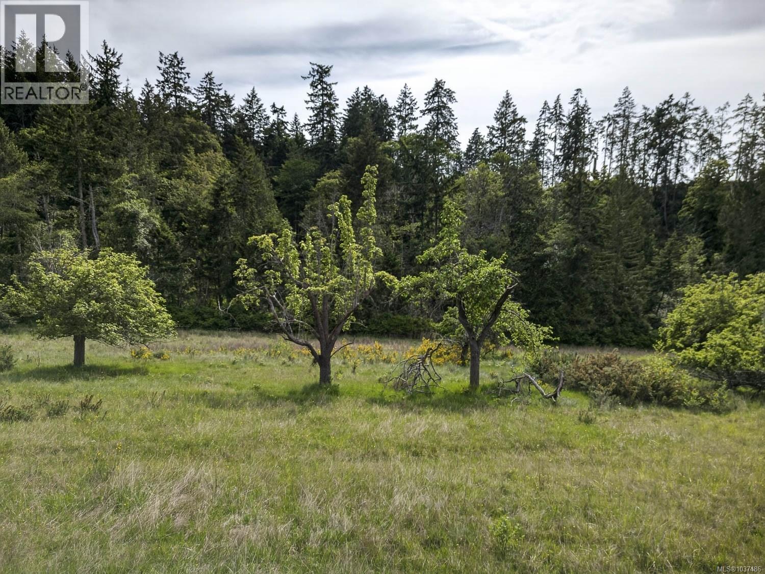 Lot 3 Beddis Rd, Salt Spring, British Columbia  V8K 2E5 - Photo 16 - 1037486