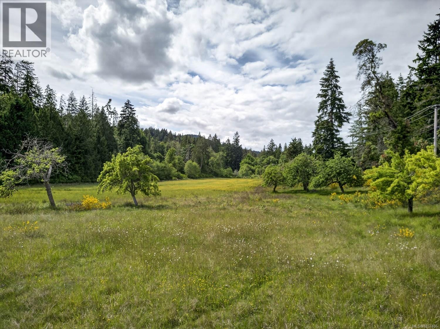 Lot 3 Beddis Rd, Salt Spring, British Columbia  V8K 2E5 - Photo 17 - 1037486