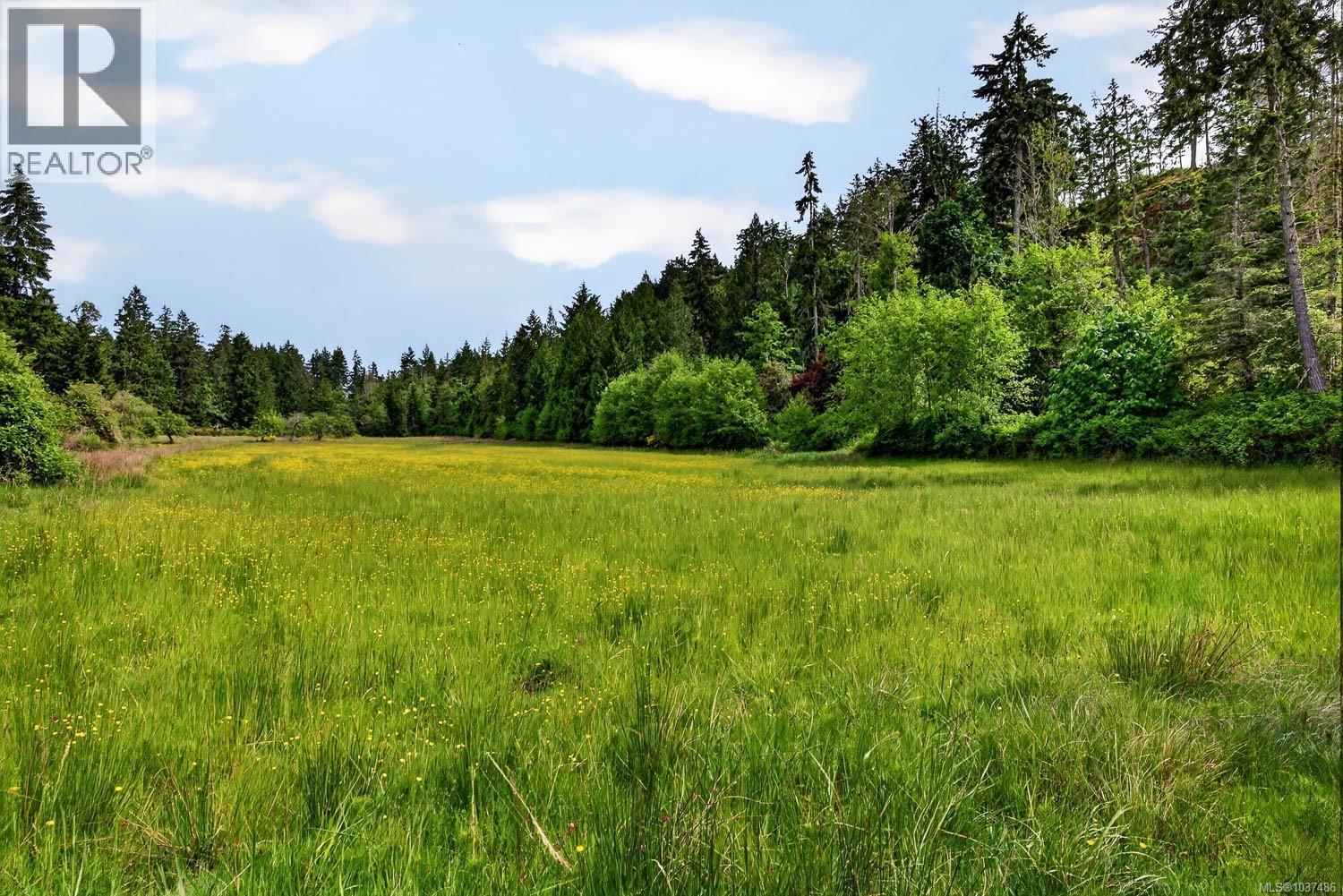 Lot 3 Beddis Rd, Salt Spring, British Columbia  V8K 2E5 - Photo 18 - 1037486