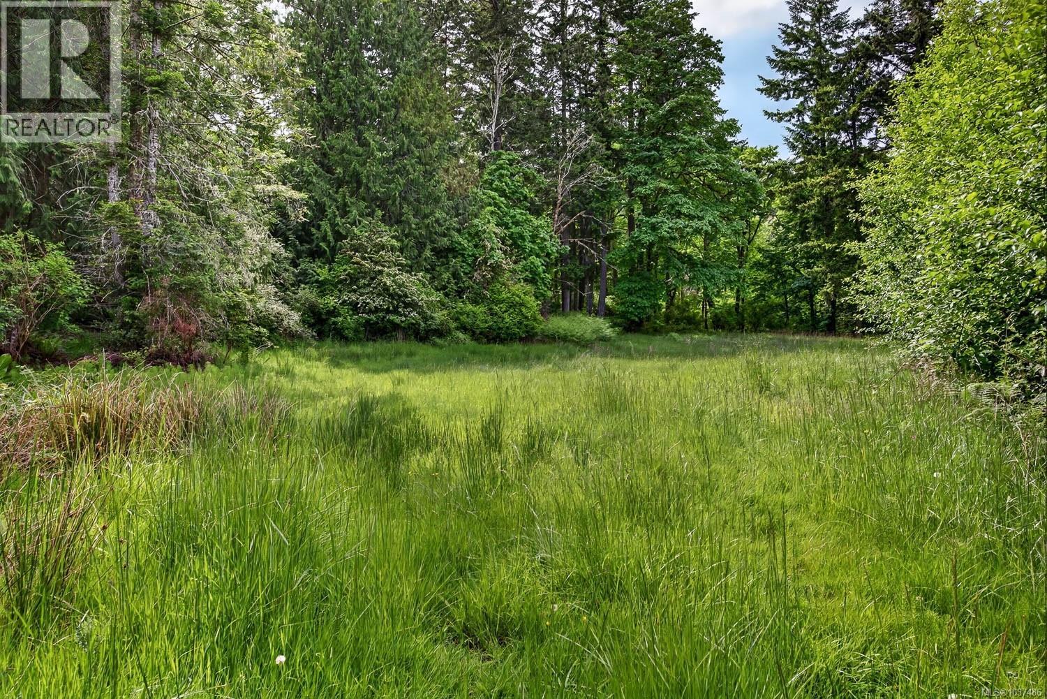 Lot 3 Beddis Rd, Salt Spring, British Columbia  V8K 2E5 - Photo 29 - 1037486