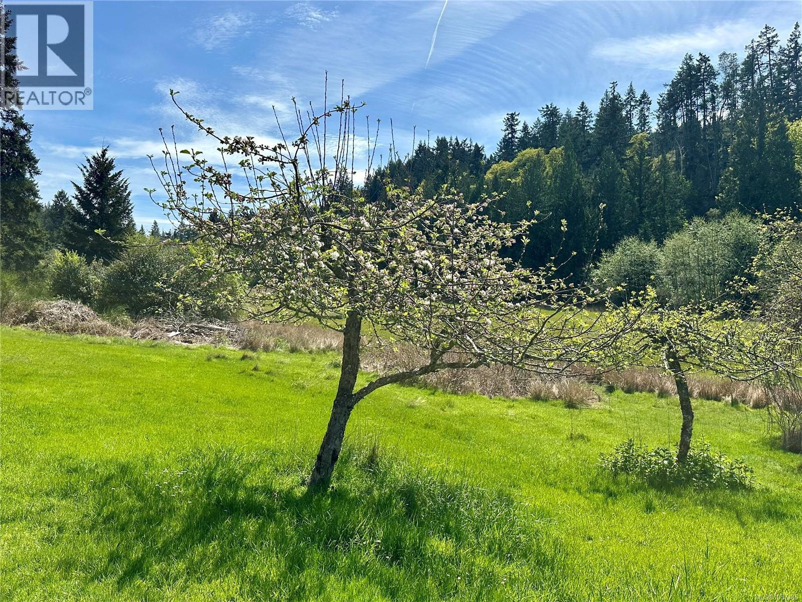 Lot 3 Beddis Rd, Salt Spring, British Columbia  V8K 2E5 - Photo 31 - 1037486