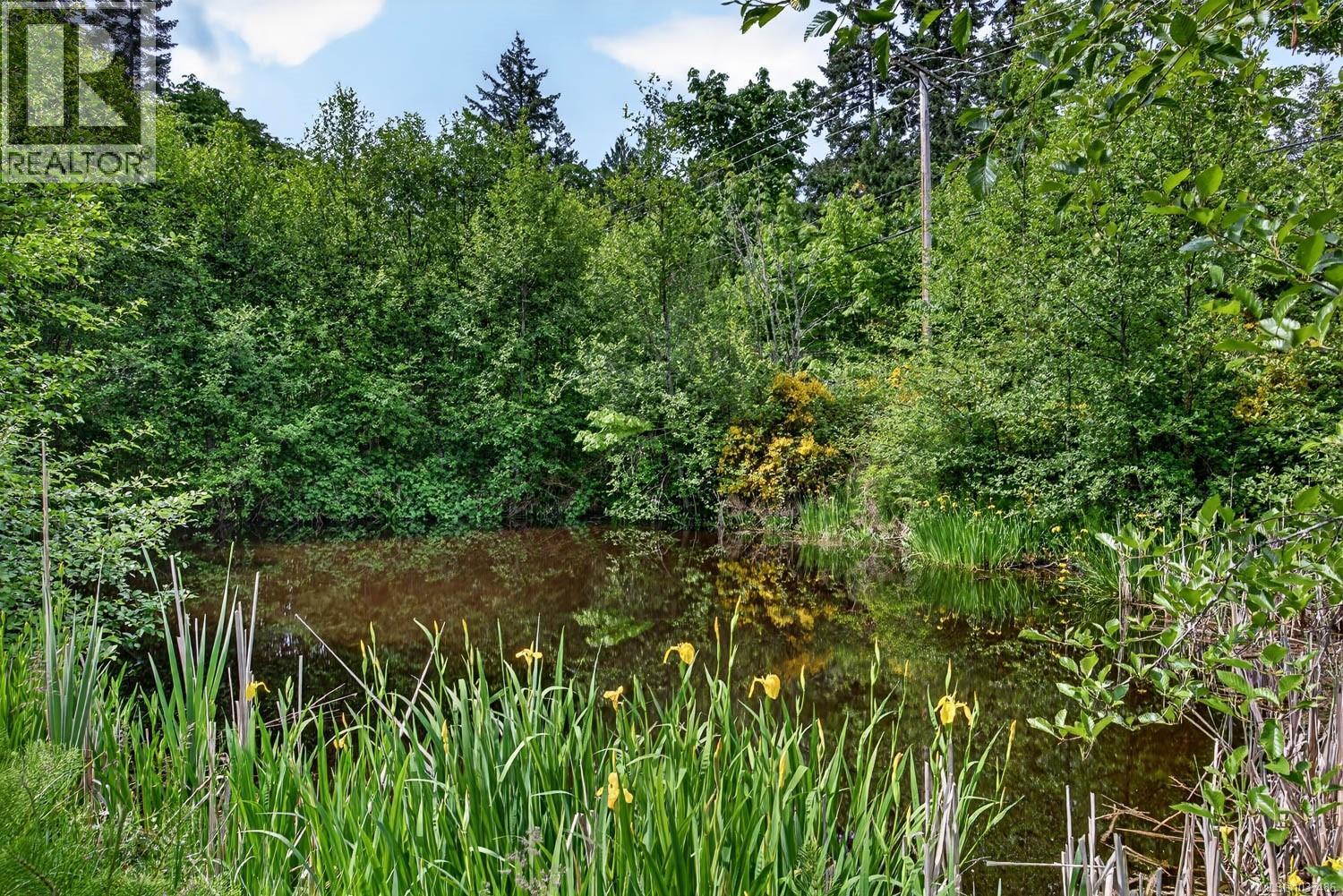 Lot 3 Beddis Rd, Salt Spring, British Columbia  V8K 2E5 - Photo 8 - 1037486