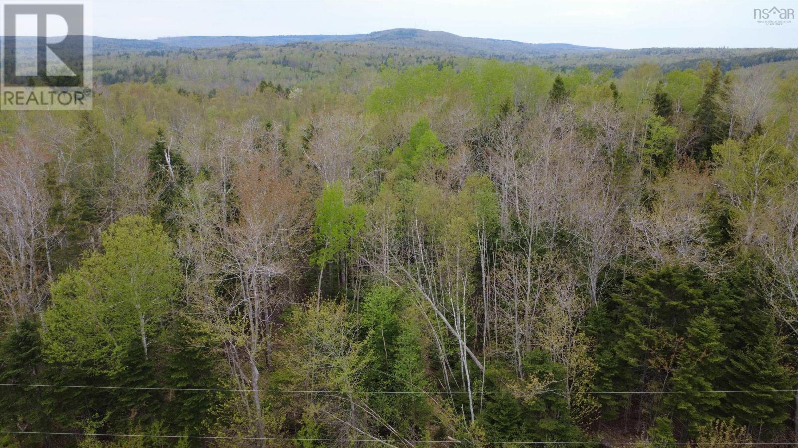 Sutherlands River Road, Sutherlands River, Nova Scotia  B0K 1W0 - Photo 2 - 202611724