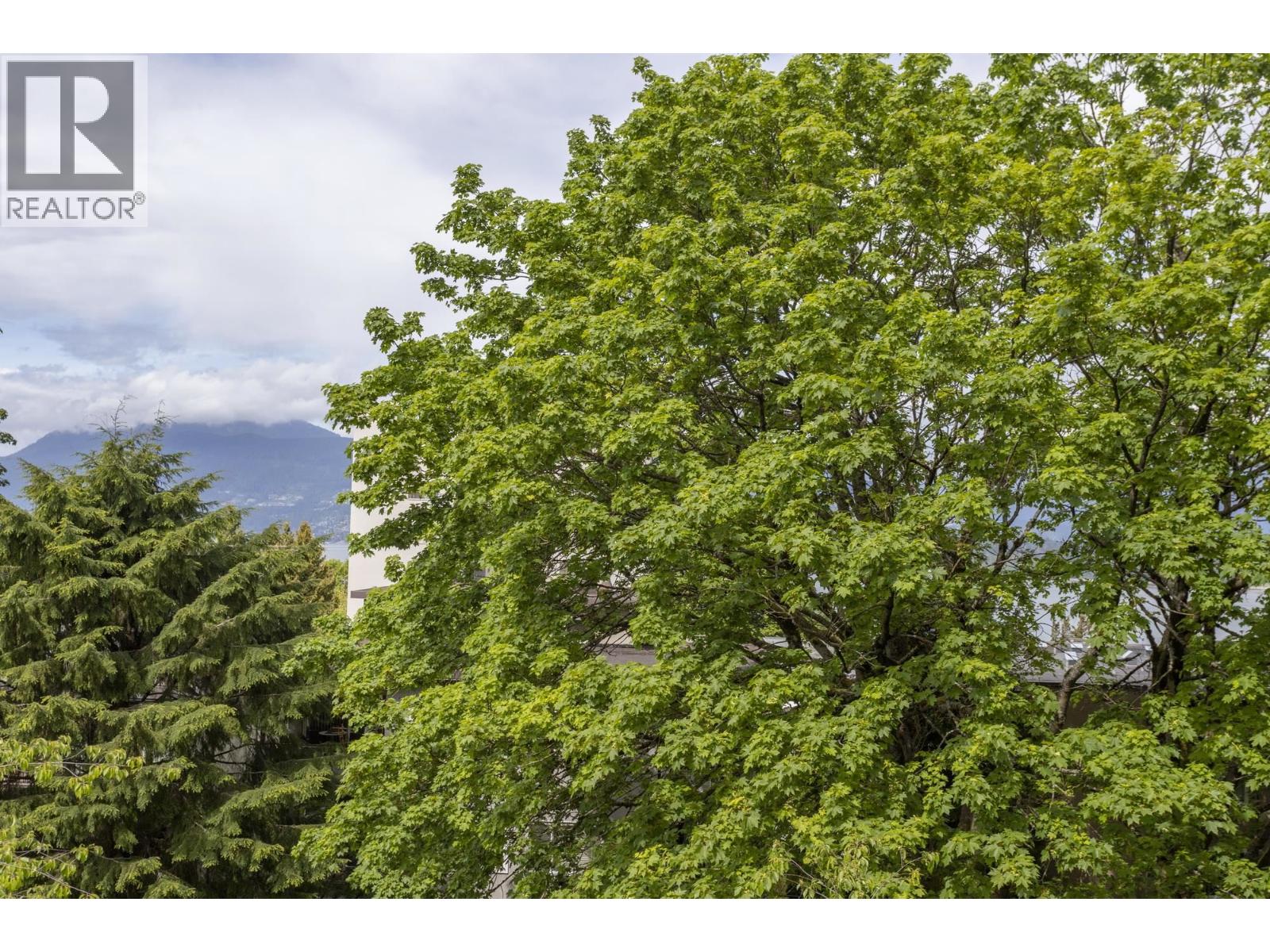 408 2370 W 2nd Avenue, Vancouver, British Columbia  V6K 1J2 - Photo 22 - R3126480