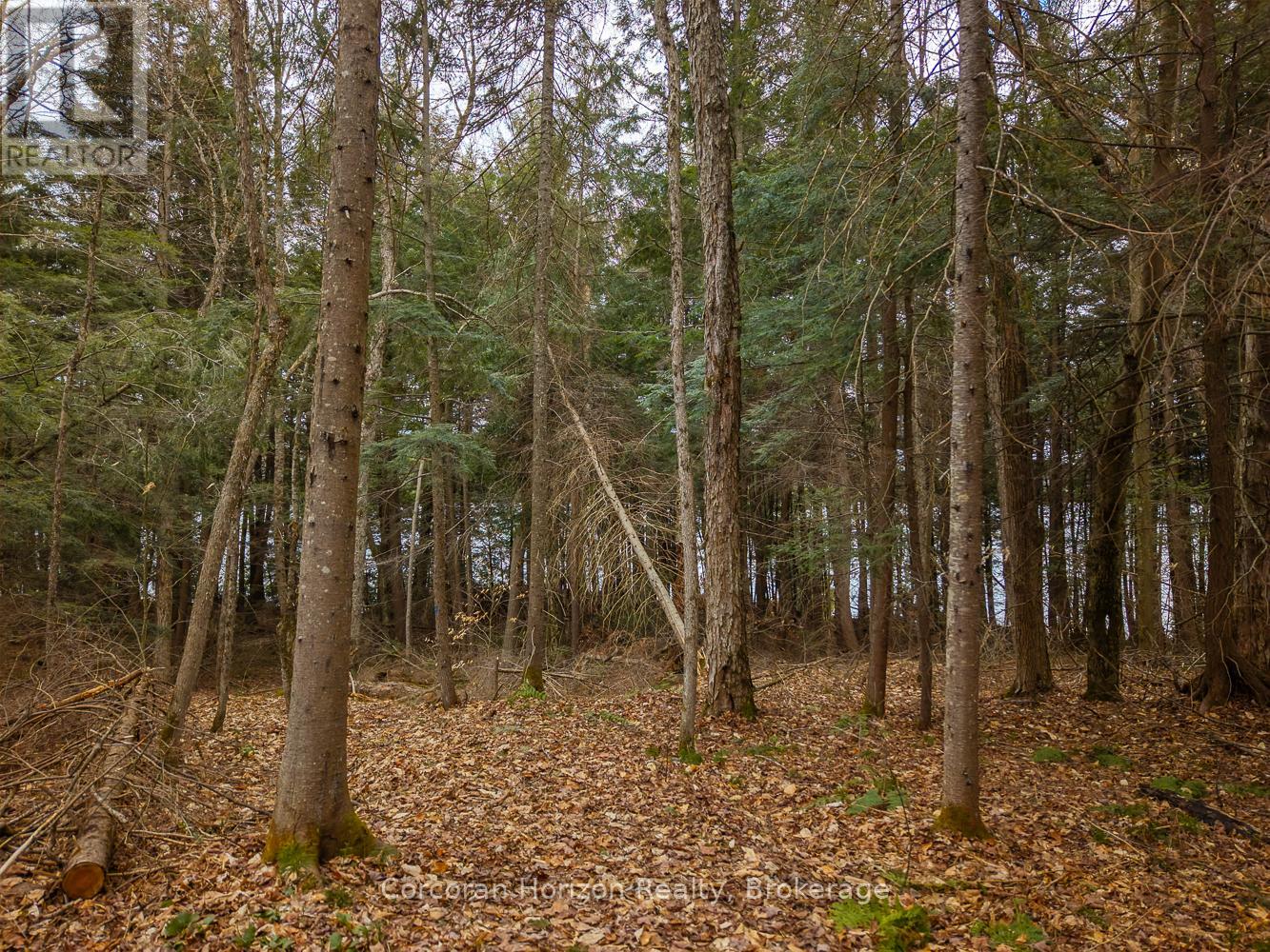 South Lot 18863 Kawagama Lake North Shore, Algonquin Highlands, Ontario  P0A 1E0 - Photo 12 - X13158128