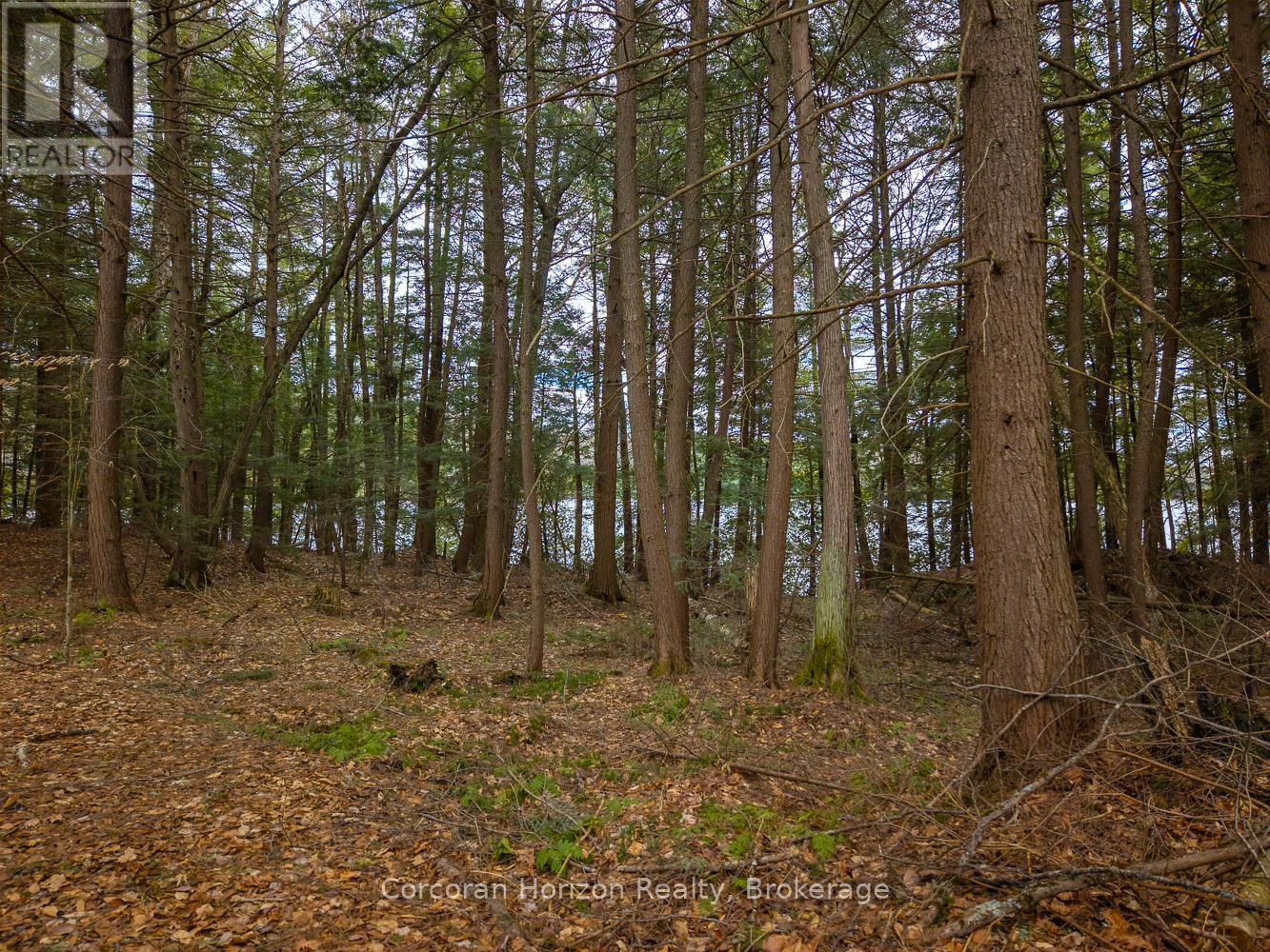 South Lot 18863 Kawagama Lake North Shore, Algonquin Highlands, Ontario  P0A 1E0 - Photo 13 - X13158128