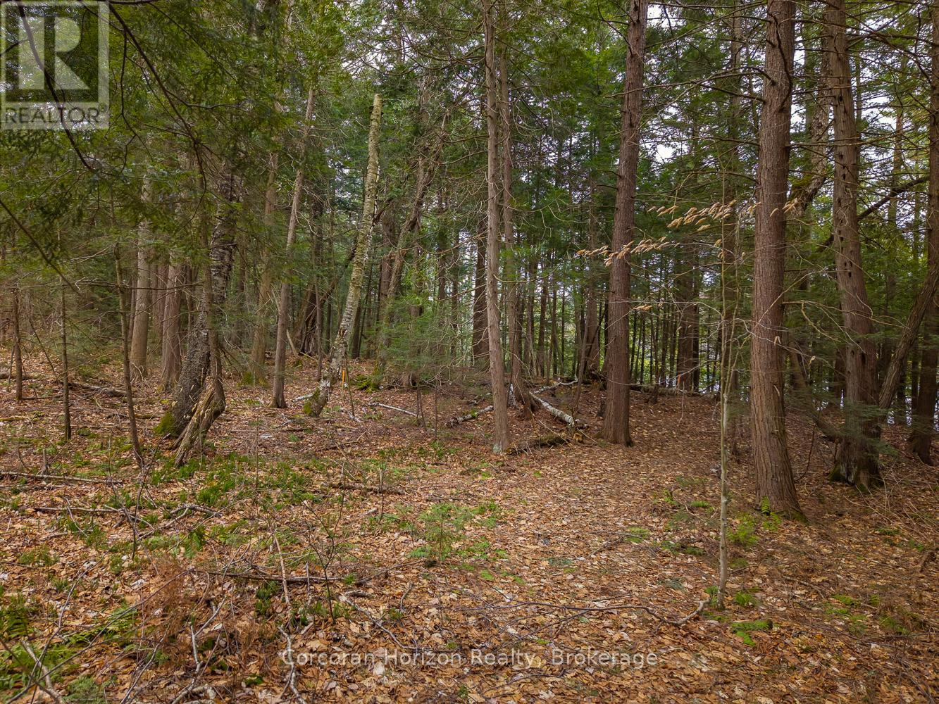 South Lot 18863 Kawagama Lake North Shore, Algonquin Highlands, Ontario  P0A 1E0 - Photo 14 - X13158128