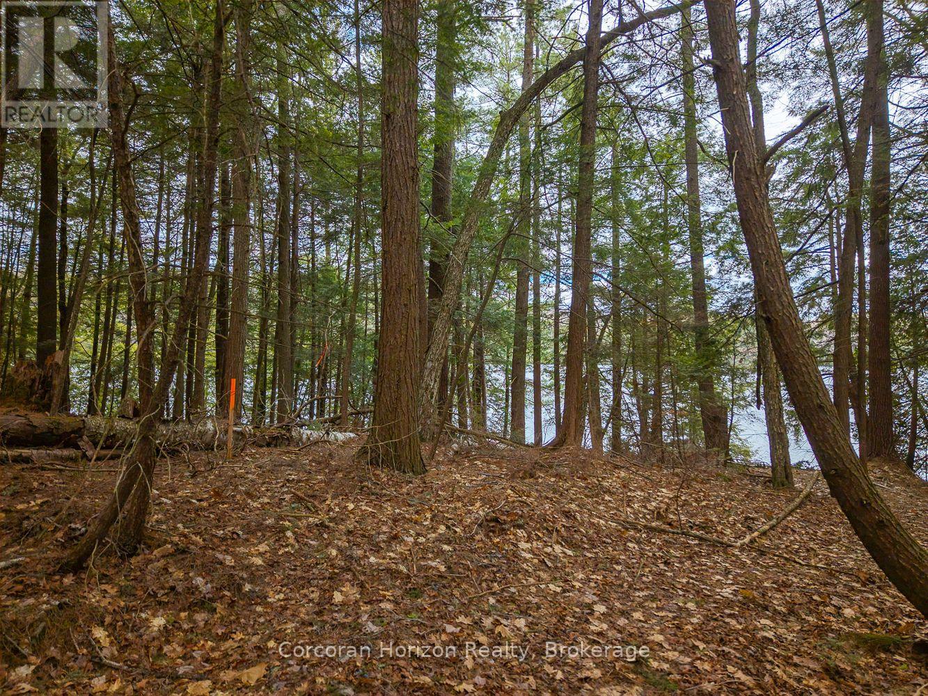 South Lot 18863 Kawagama Lake North Shore, Algonquin Highlands, Ontario  P0A 1E0 - Photo 15 - X13158128