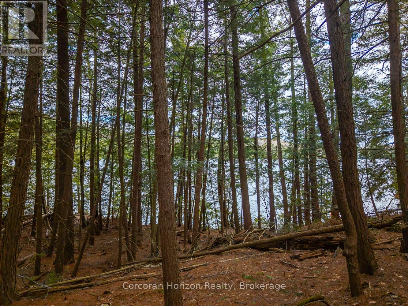 South Lot 18863 Kawagama Lake North Shore, Algonquin Highlands, Ontario  P0A 1E0 - Photo 19 - X13158128