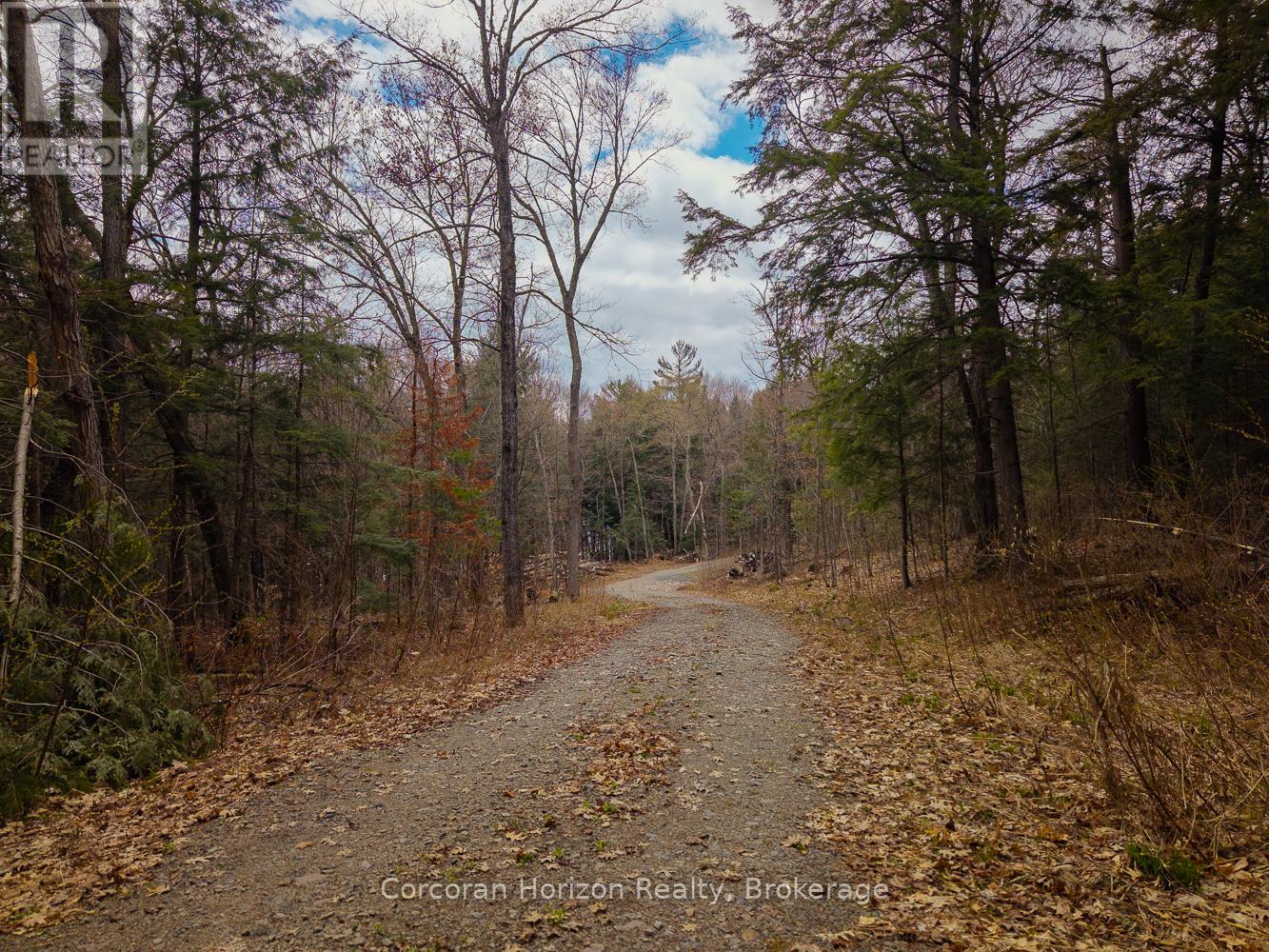 South Lot 18863 Kawagama Lake North Shore, Algonquin Highlands, Ontario  P0A 1E0 - Photo 23 - X13158128