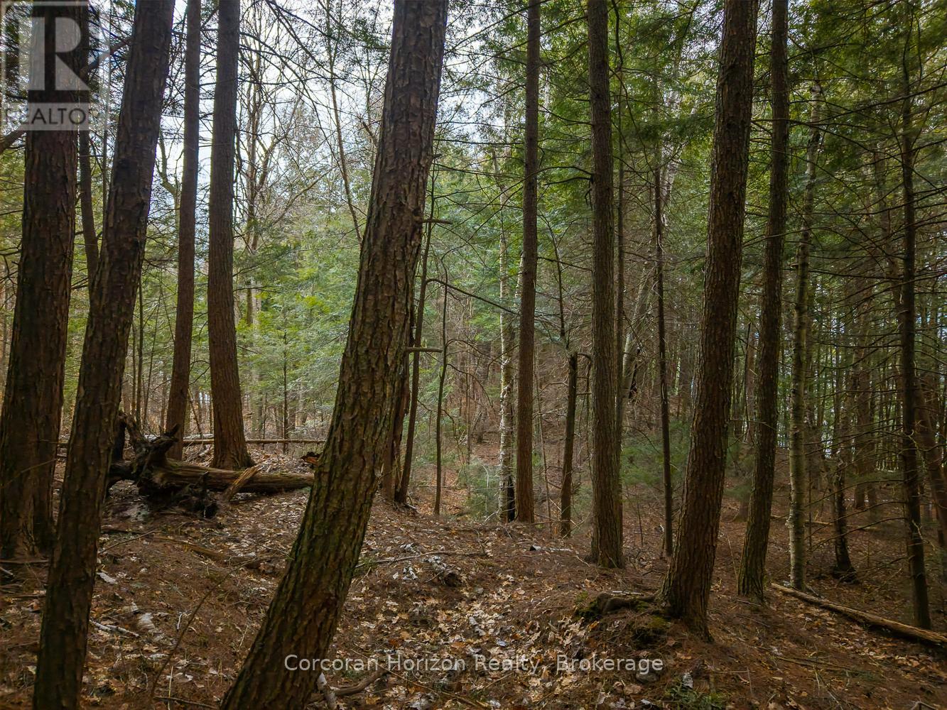 North Lot 18863 Kawagama Lake North Shore Drive, Algonquin Highlands, Ontario P0A 1E0 - Photo 14 - X13158158