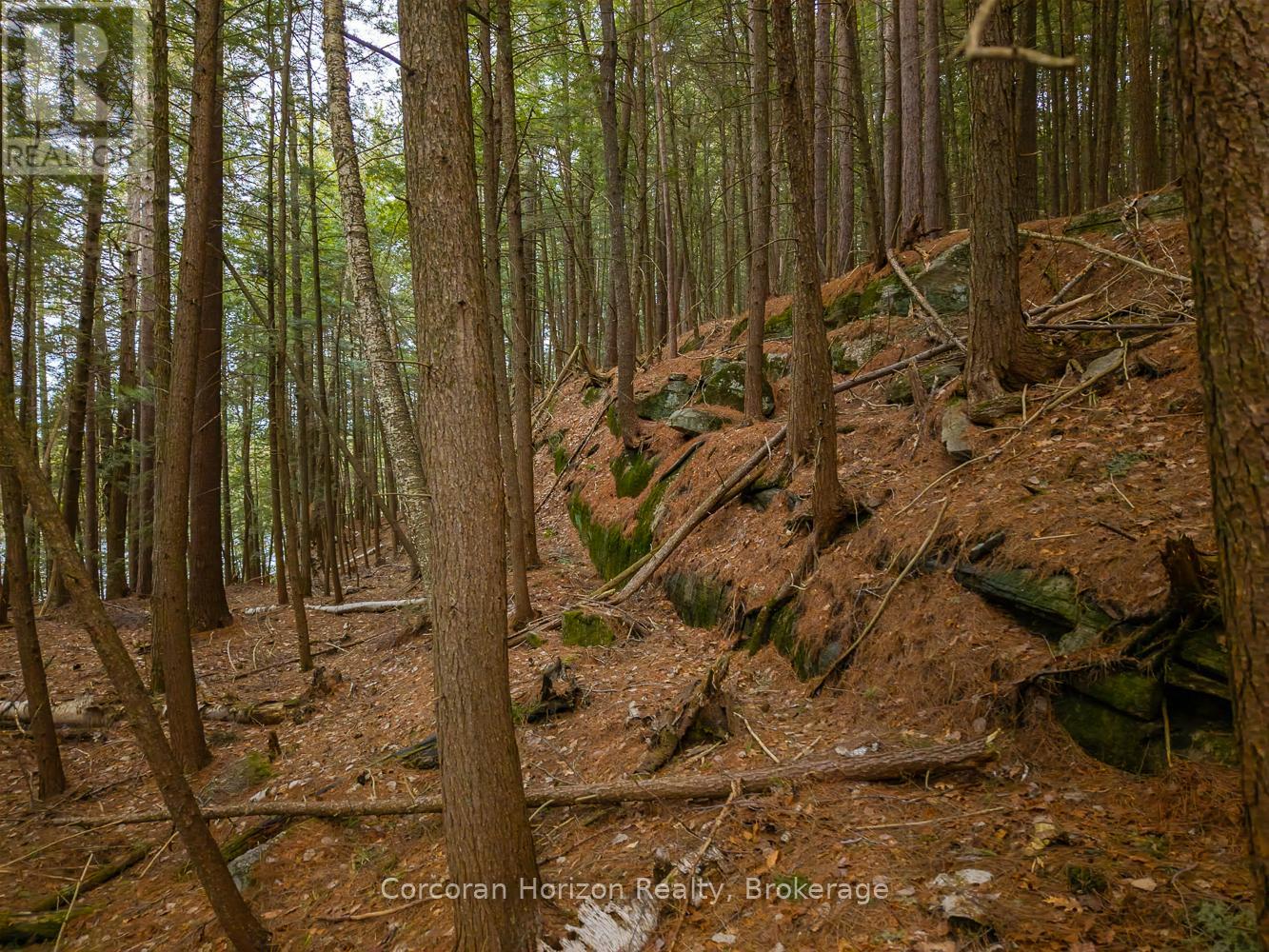 North Lot 18863 Kawagama Lake North Shore Drive, Algonquin Highlands, Ontario P0A 1E0 - Photo 16 - X13158158