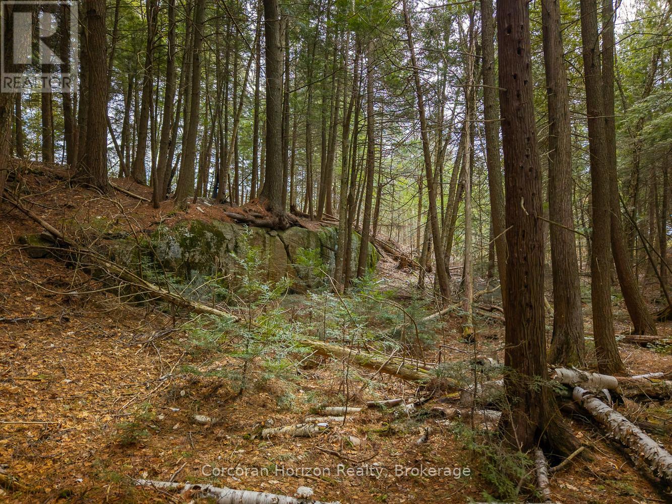 North Lot 18863 Kawagama Lake North Shore Drive, Algonquin Highlands, Ontario P0A 1E0 - Photo 17 - X13158158