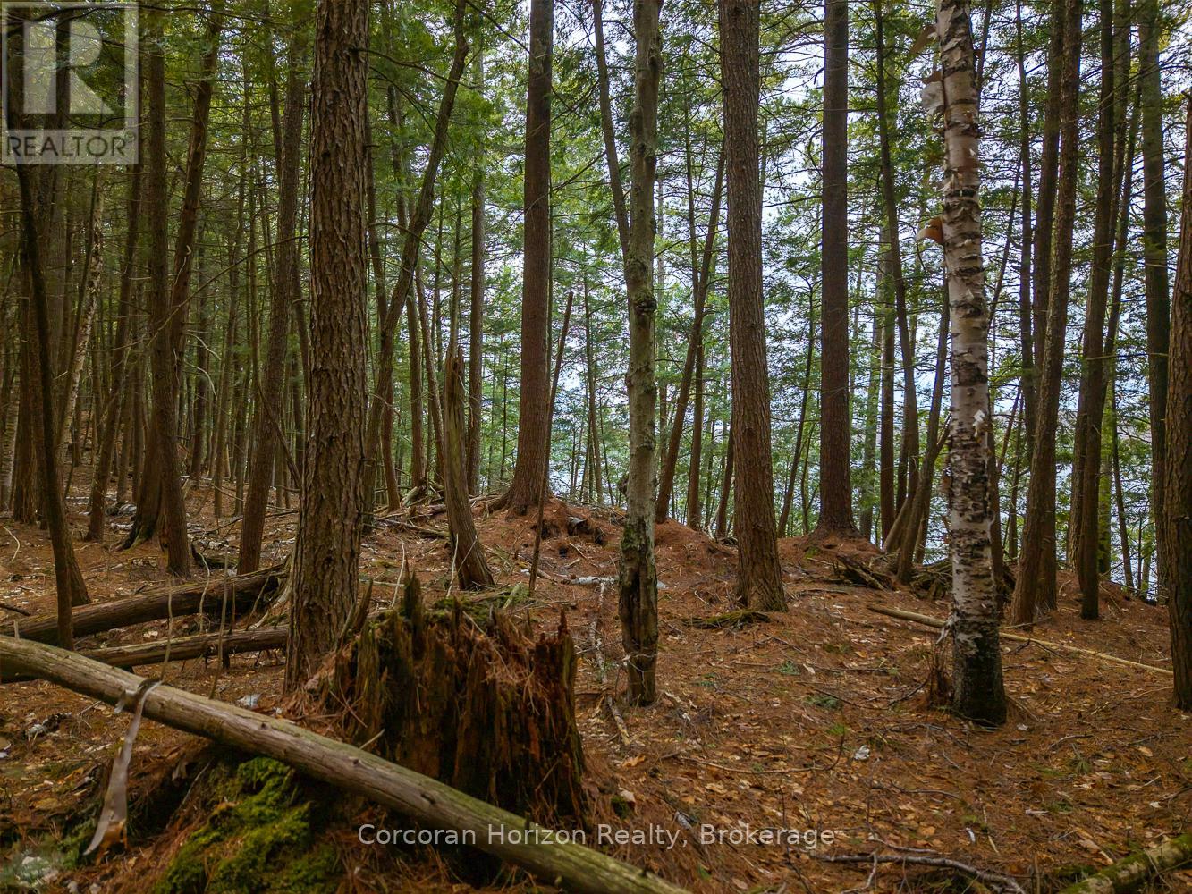 North Lot 18863 Kawagama Lake North Shore Drive, Algonquin Highlands, Ontario P0A 1E0 - Photo 18 - X13158158