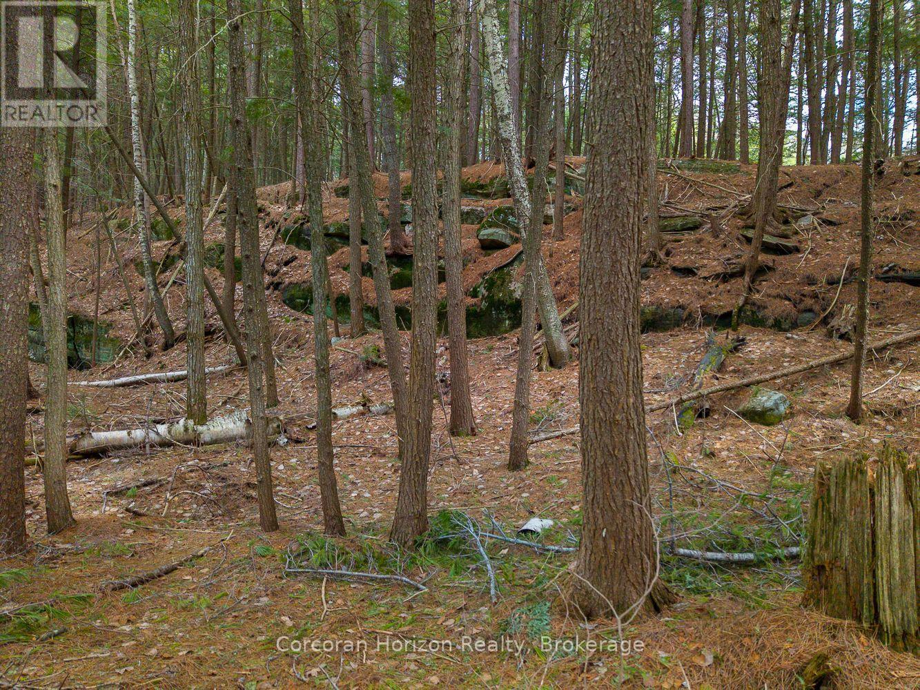 North Lot 18863 Kawagama Lake North Shore Drive, Algonquin Highlands, Ontario P0A 1E0 - Photo 19 - X13158158