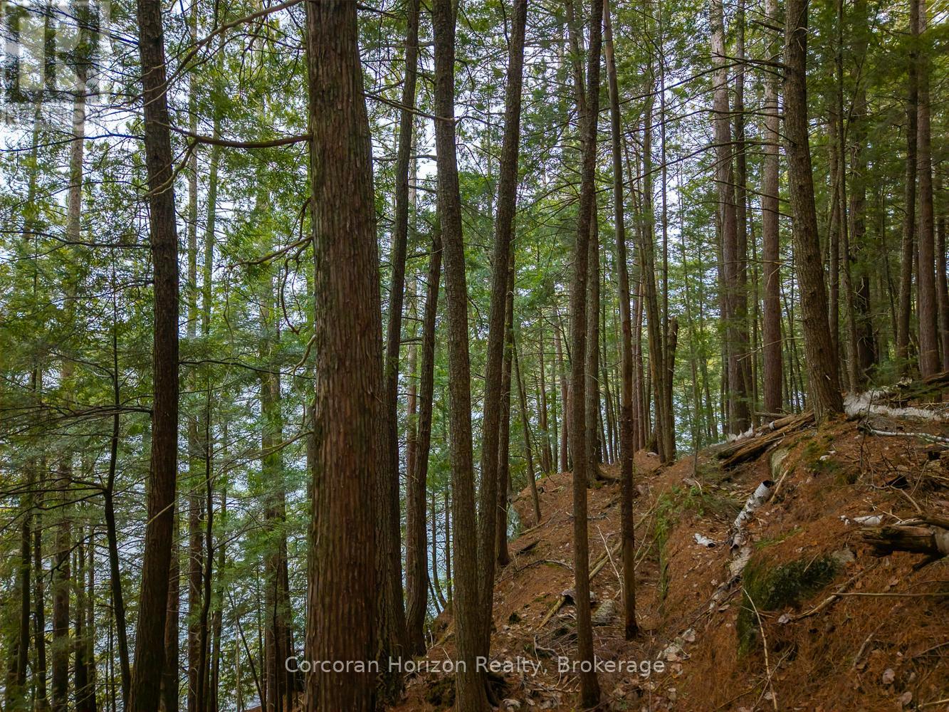 North Lot 18863 Kawagama Lake North Shore Drive, Algonquin Highlands, Ontario P0A 1E0 - Photo 20 - X13158158