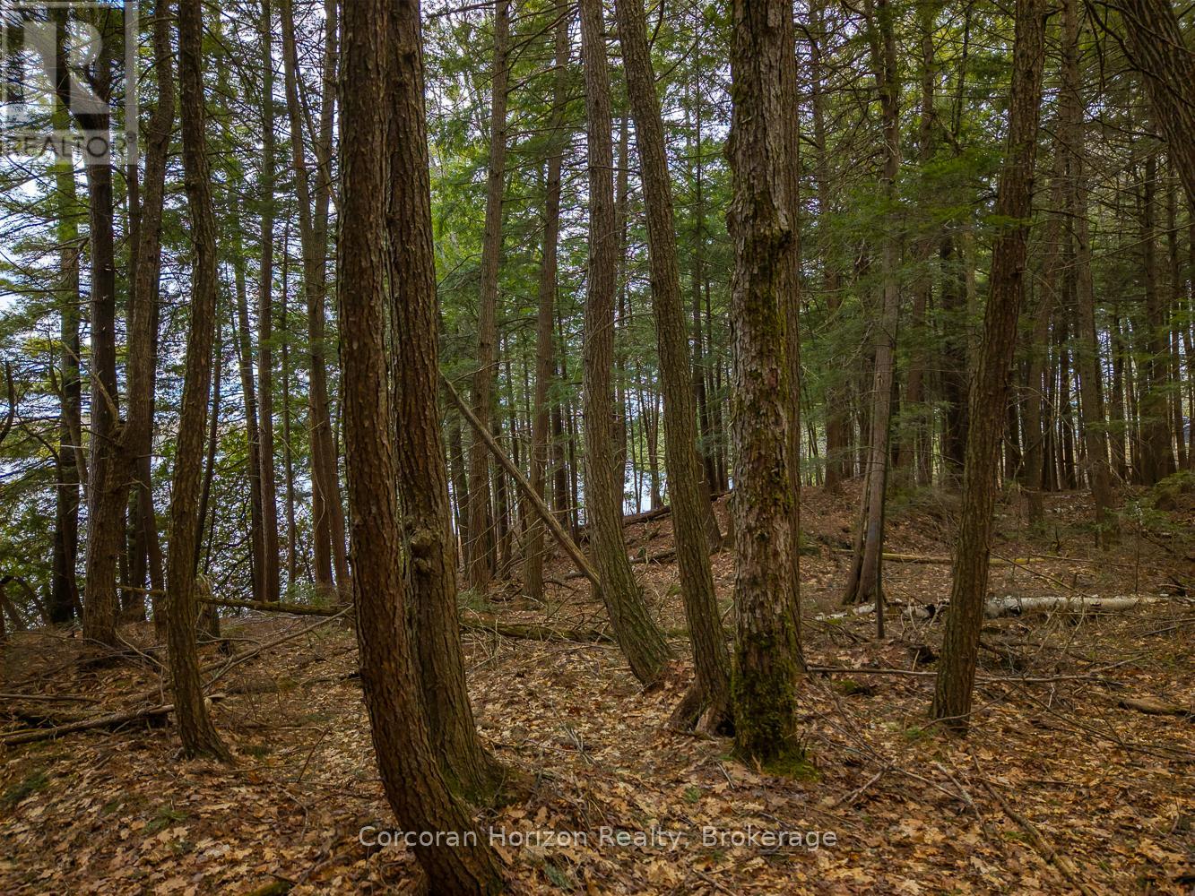 North Lot 18863 Kawagama Lake North Shore Drive, Algonquin Highlands, Ontario P0A 1E0 - Photo 21 - X13158158