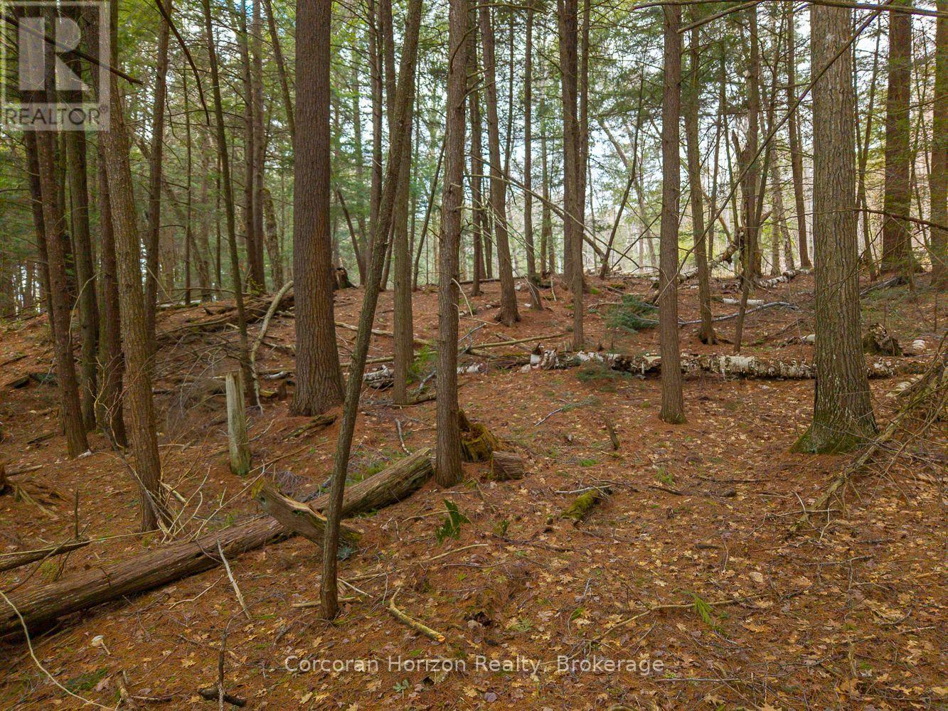 North Lot 18863 Kawagama Lake North Shore Drive, Algonquin Highlands, Ontario P0A 1E0 - Photo 22 - X13158158