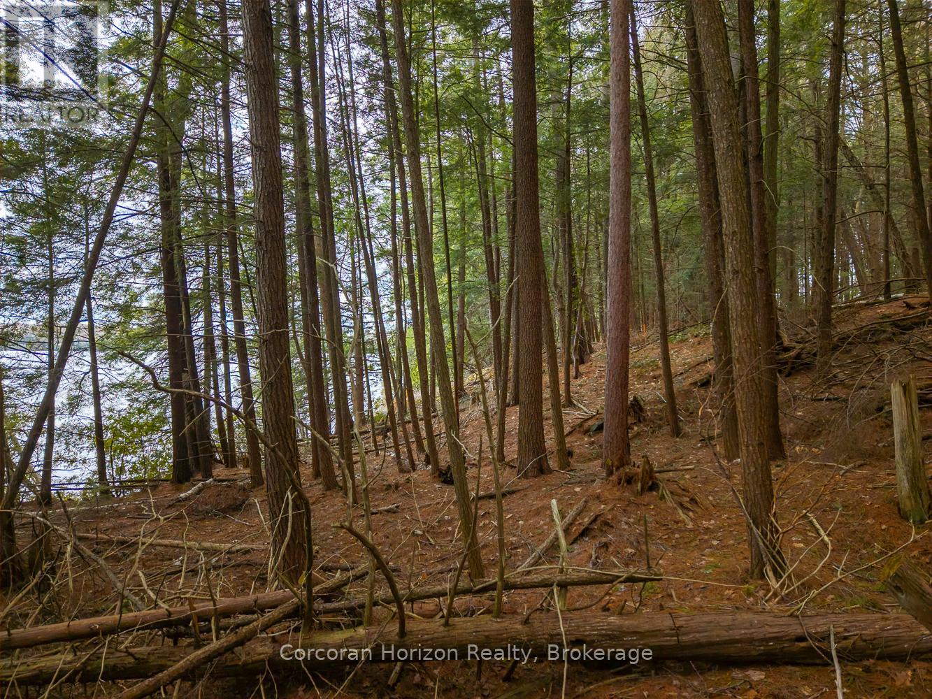 North Lot 18863 Kawagama Lake North Shore Drive, Algonquin Highlands, Ontario P0A 1E0 - Photo 23 - X13158158