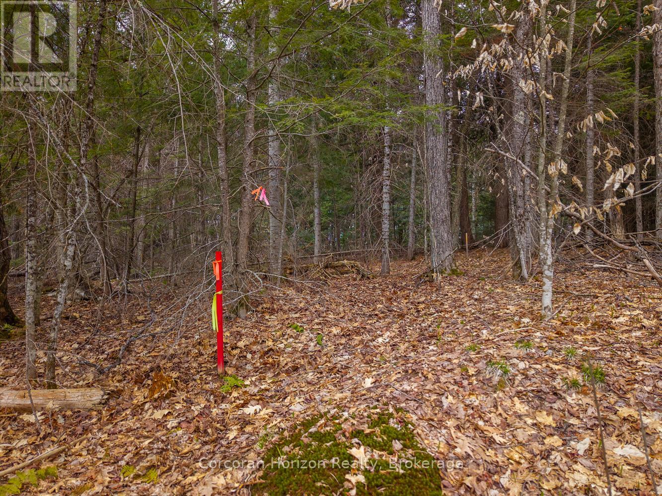 North Lot 18863 Kawagama Lake North Shore Drive, Algonquin Highlands, Ontario P0A 1E0 - Photo 24 - X13158158