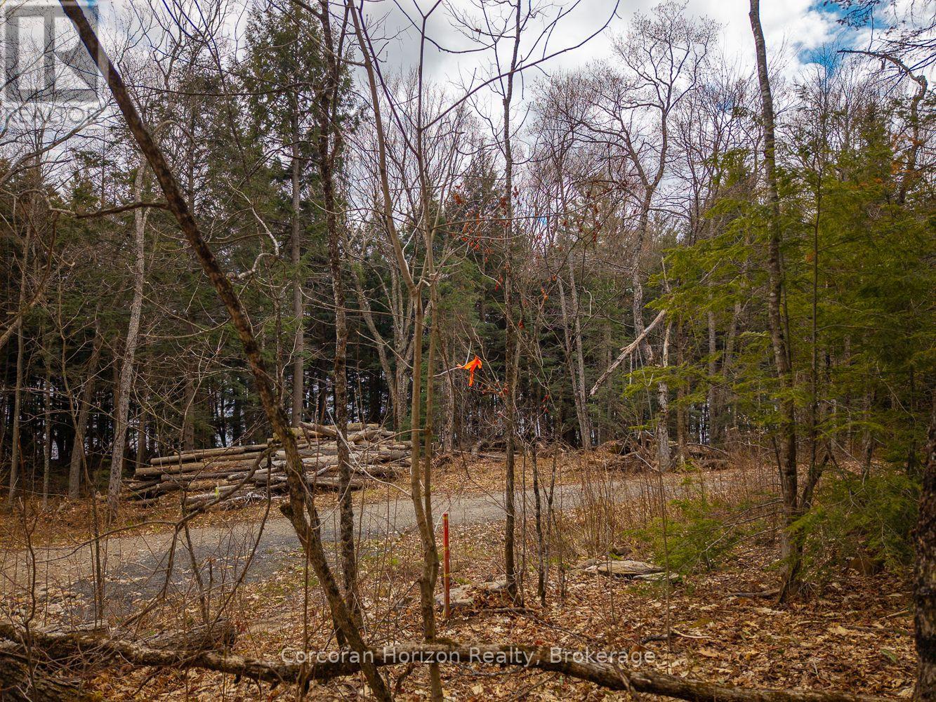 North Lot 18863 Kawagama Lake North Shore Drive, Algonquin Highlands, Ontario P0A 1E0 - Photo 25 - X13158158