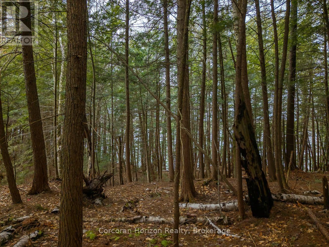 North Lot 18863 Kawagama Lake North Shore Drive, Algonquin Highlands, Ontario P0A 1E0 - Photo 26 - X13158158