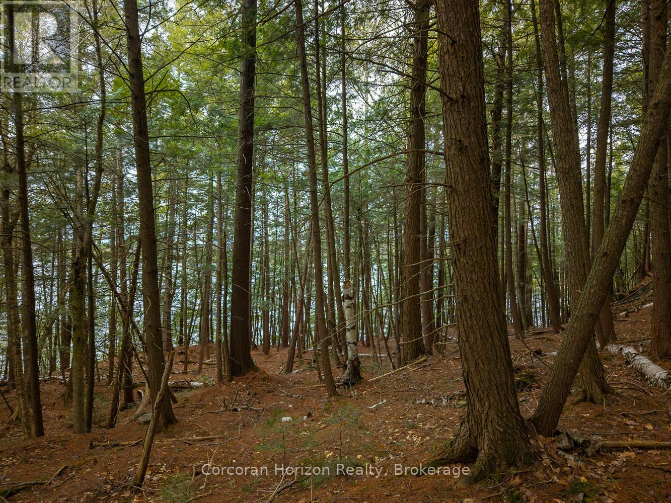North Lot 18863 Kawagama Lake North Shore Drive, Algonquin Highlands, Ontario P0A 1E0 - Photo 27 - X13158158