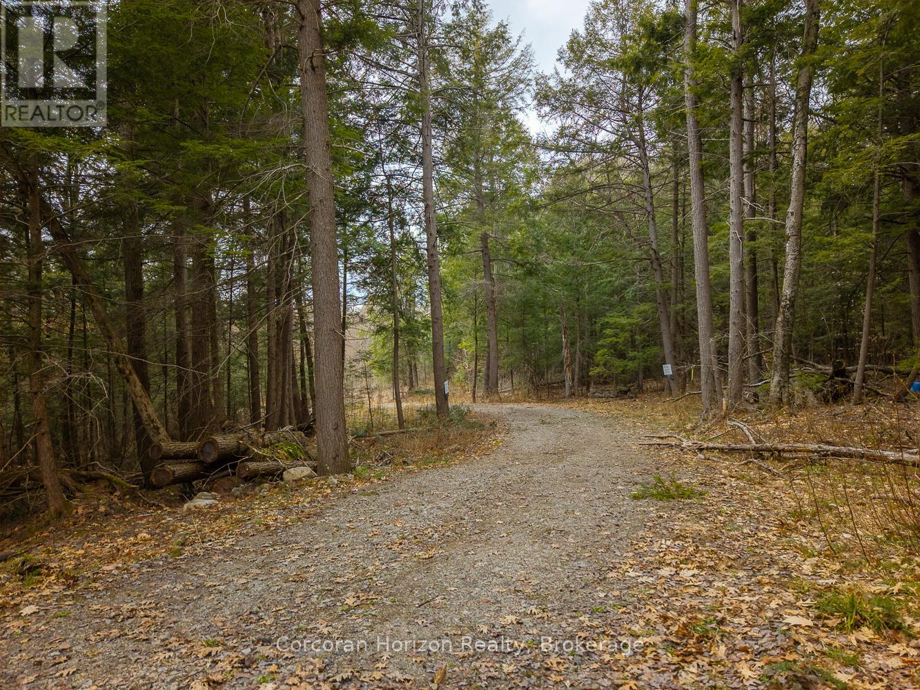 North Lot 18863 Kawagama Lake North Shore Drive, Algonquin Highlands, Ontario P0A 1E0 - Photo 6 - X13158158
